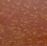 6968 ocre