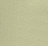 8026 gold