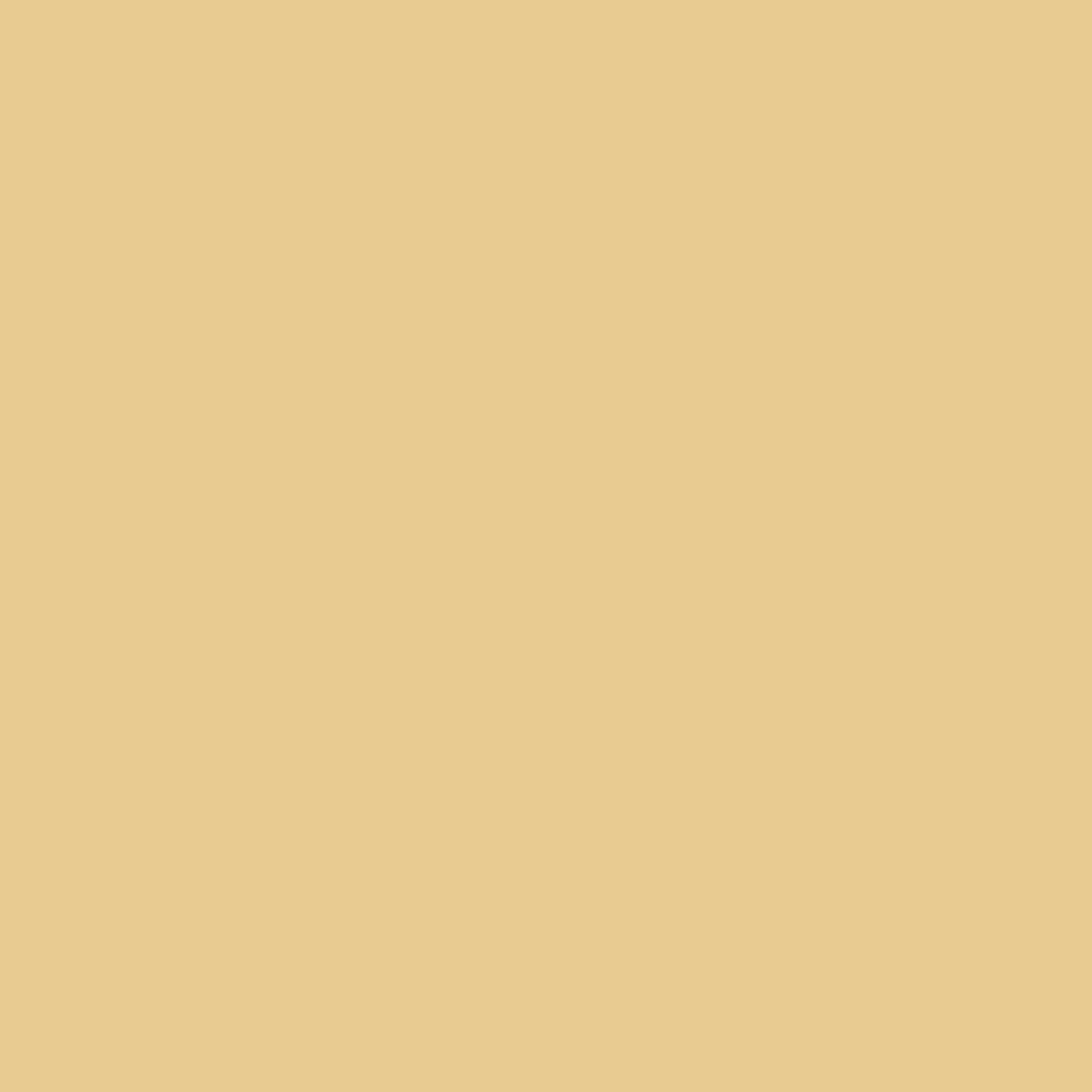 Bege PO0017