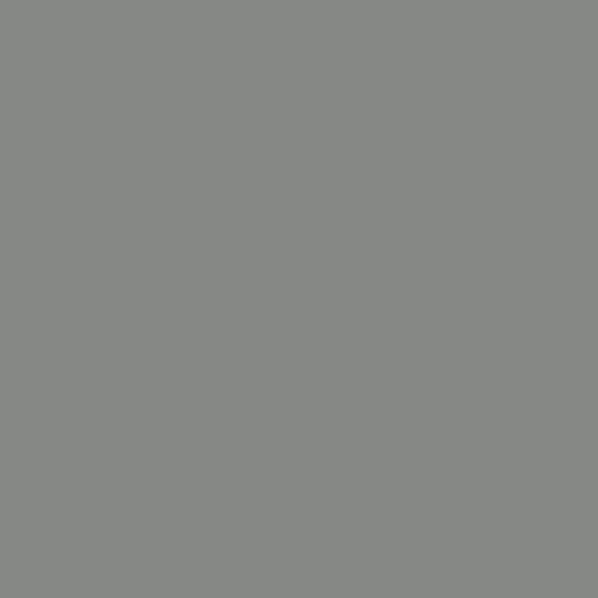 Cinza Platinum PO7206