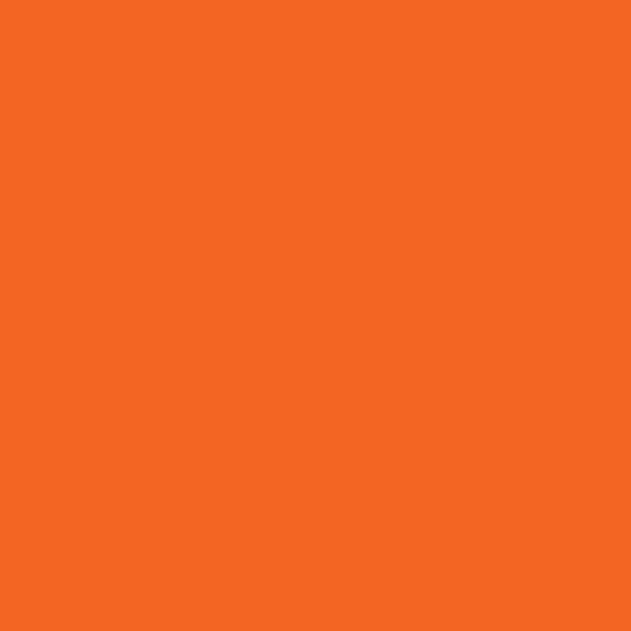 Laranja Puro PO0015