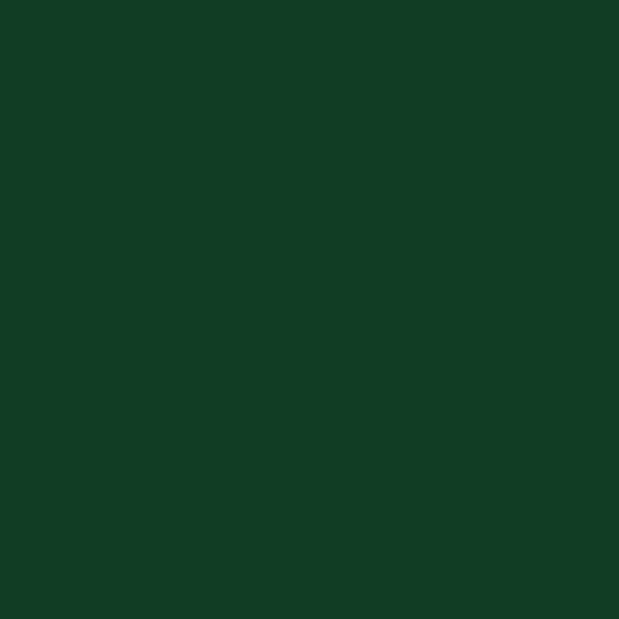 Verde Exercito PO4531