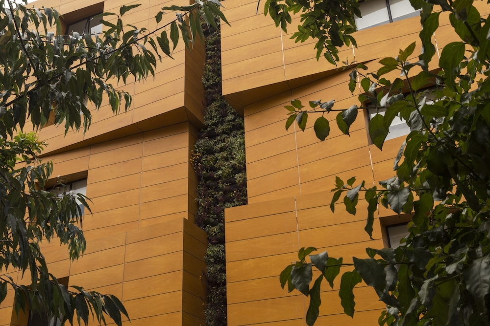 revestimento em madeira detalhe revestimento em madeira detalhe